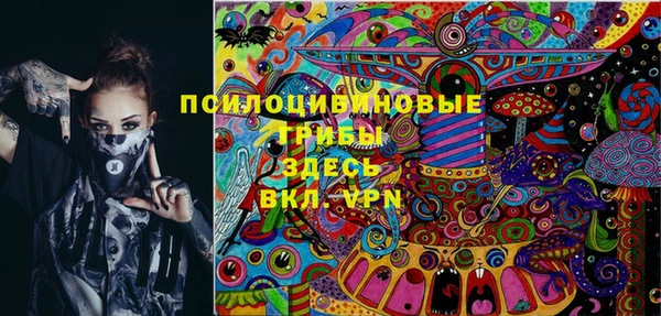 спайс Няндома