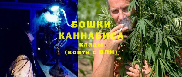 спайс Няндома