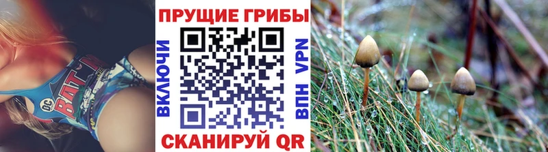 Псилоцибиновые грибы мицелий  Валуйки 